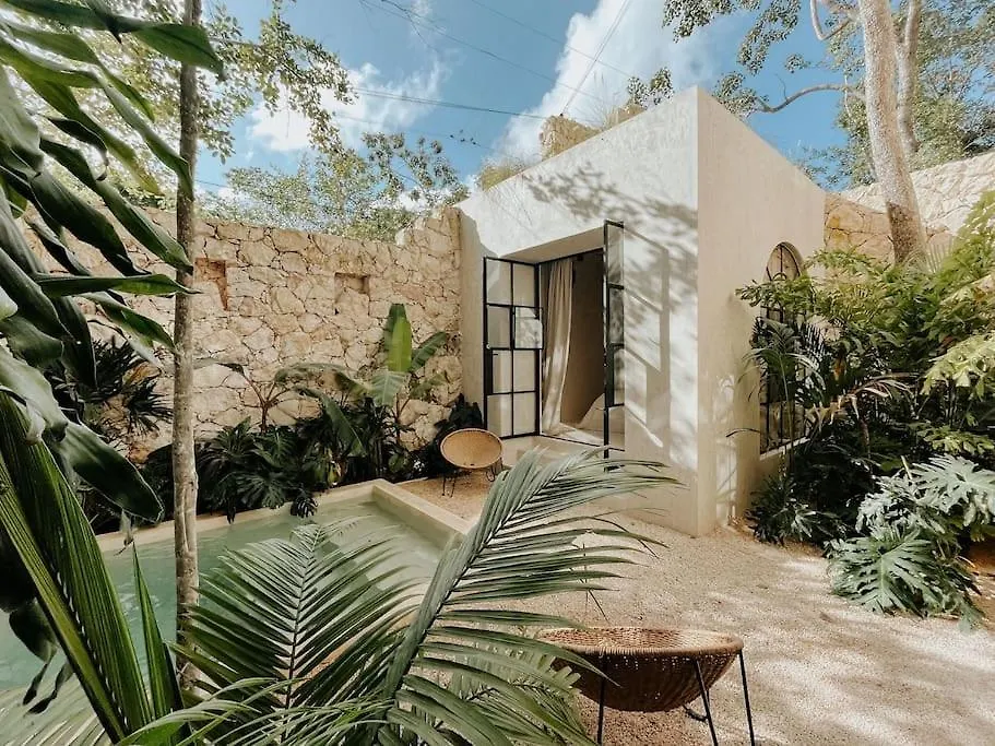 Design Casa Azhar With Private Pool Apartment Tulum
