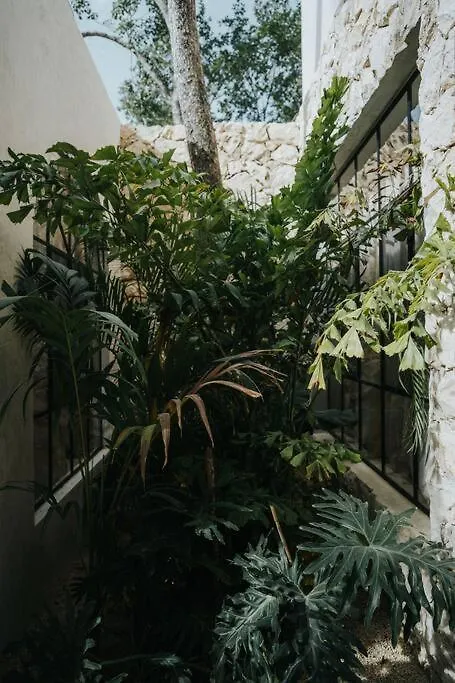 Design Casa Azhar With Private Pool Apartment Tulum