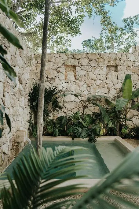 Design Casa Azhar With Private Pool Apartment Tulum