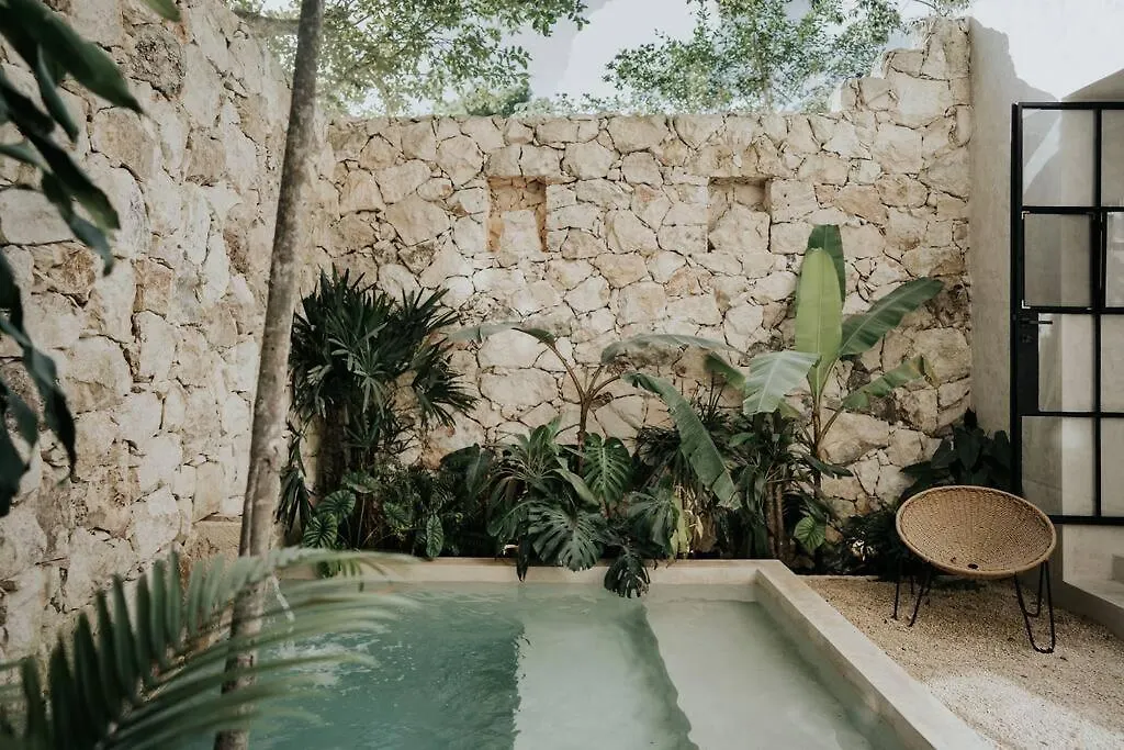 Design Casa Azhar With Private Pool Apartment Tulum