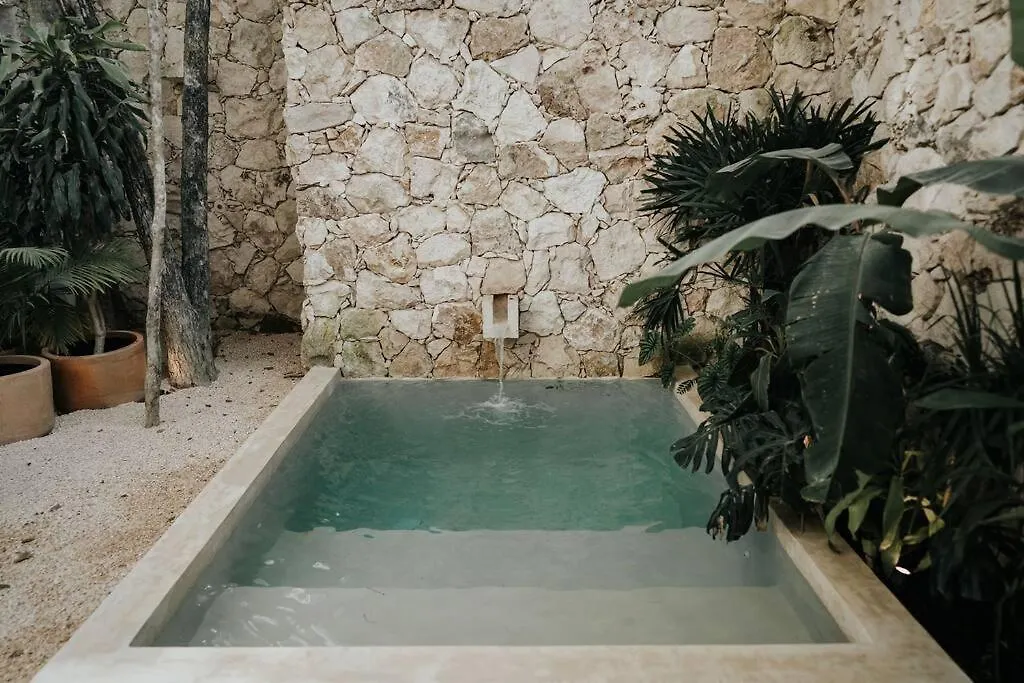 Design Casa Azhar With Private Pool Apartment Tulum