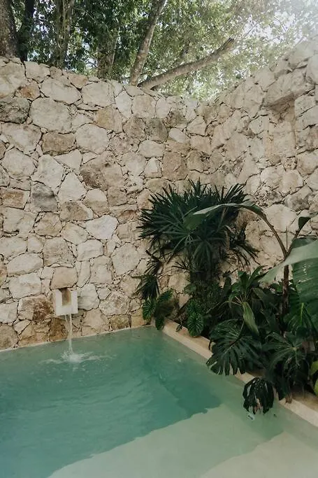 トゥルムDesign Casa Azhar With Private Poolアパートメント
