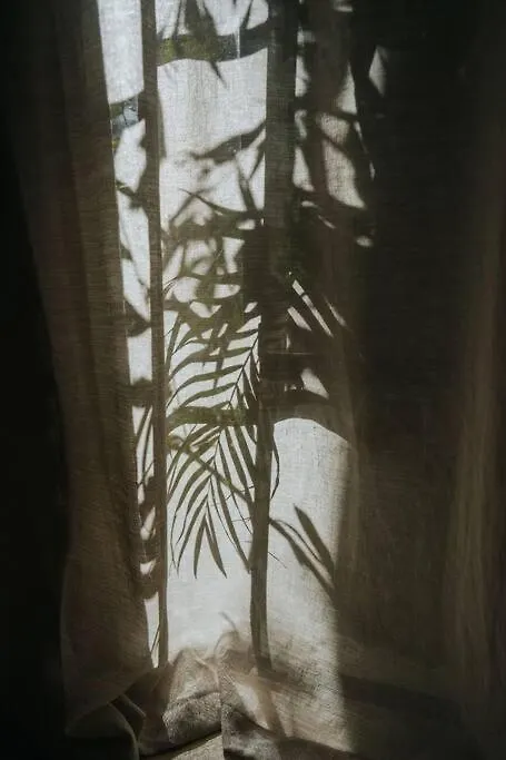 トゥルムDesign Casa Azhar With Private Poolアパートメント 0*, トゥルム メキシコ